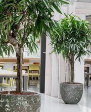 Plantyworks GmbH Bild 5