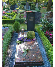 Knop Heinz-Dieter Bild 5