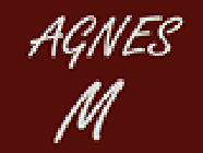 Agnès M
