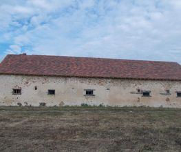 Brissaud Sébastien image 5