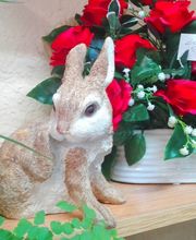 Floristería Manuela imagen 10