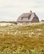Immobilien BLUMENTRITT Bild 10