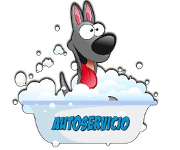 bp imagen 4