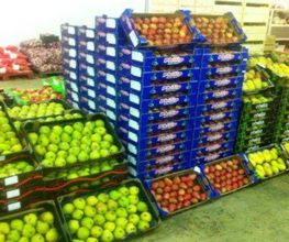 Expo Fruits image 4