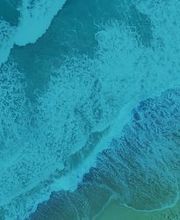 Coopérative Maritime d'Avitaillement - Arcachon image 1