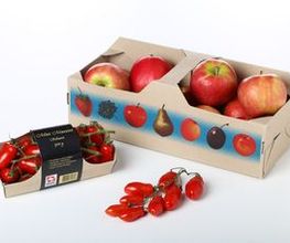 Propac AG Bild 1