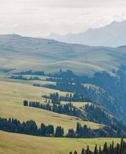 La Perle Noire SA Bild 11