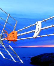 Ellipse Vision image 2