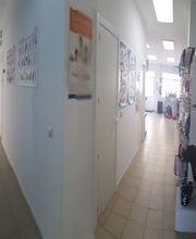 CLINICA VETERINARIA VILLALOBOS imagen 5