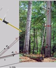 Foissac Pierre image 8