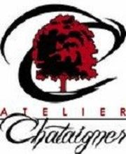 CHATAIGNER Patrick image 1