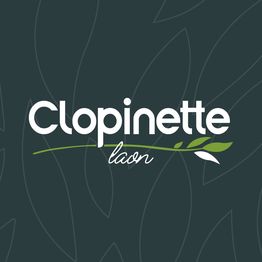 Clopinette Cigarette Électronique