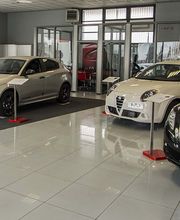 Gallery Cliente