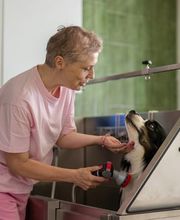 Lina, Hundert Prozent wau, Gesundheit, Training und Unterstützung für Hunde und ihre Menschen, Sandra Egli Bild 3