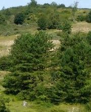 Chambre D'Agriculture Du Nord Pas De Calais image 2