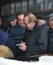 Auvergne Viande image 20