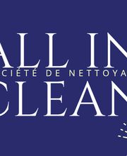 All In Clean image 2