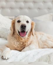 Holiday Inn - the niu, Keg Hamburg Ost by IHG Bild 4