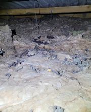 Sos Antinuisibles 54 image 11