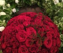 Blumen Kaiser, Michael Kaiser Bild 7