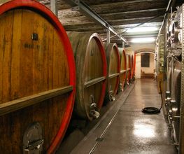 Gebr.Geiger jun. Weingut, Inh. Werner Geiger Bild 8