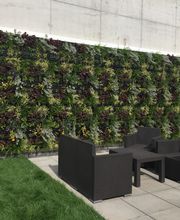 Baum & Raum Daniela Hinkelmann Bild 7