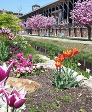 Moser Reisen AG Bild 8