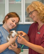 Tierarztpraxis Oppenheim Bild 3