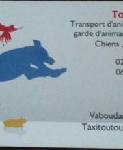 Taxi Toutous image 1