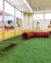 Arcaplanet immagine 2