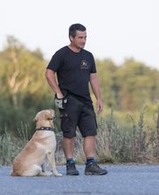 Hundeschule You And Your Dog Bild 3