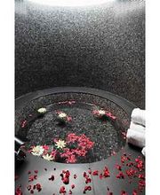 Asia Gardens imagen 10