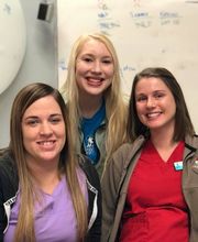 Gentle Doctor Animal Hospital image 9