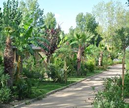 Decalque Paysage image 2