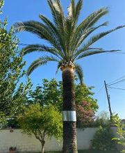 INDIGO JARDINES imagen 4