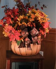 Minnillo & Marshall Dental - Grafton image 11