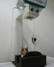 Kleintierpraxis Zur alten Mühle Bild 4