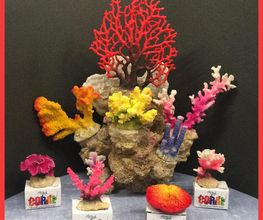 coral-03-g.jpg