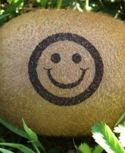 Rheinobst Genossenschaft Bild 6