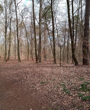 FriedWald Mühlenbecker Land Bild 3