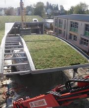 IPB Lazzaroni image 2