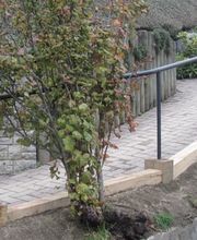 Beney Jean-Paul & William Bild 3