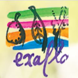 Exaflor