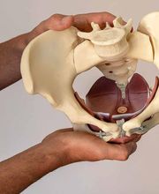 Physiotherapie Moser & Klumpp Bild 5