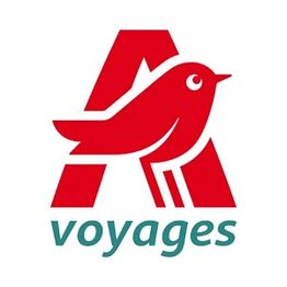 Auchan voyages Dardilly