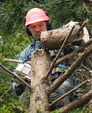 Sos Elagage & Energie Verte image 3