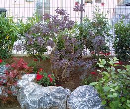 Garten und mehr - Jan Langhanki Bild 13
