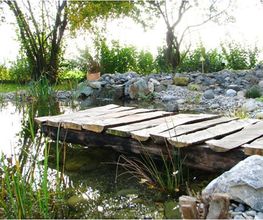 Hatt Gartenbau Bild 3