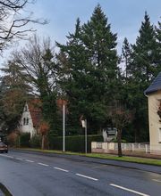 Baufeldrodung vorher