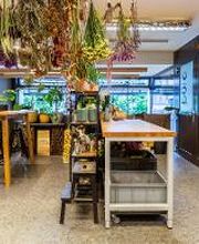 Linder Blumen am Bahnhofplatz in Aarau Bild 6